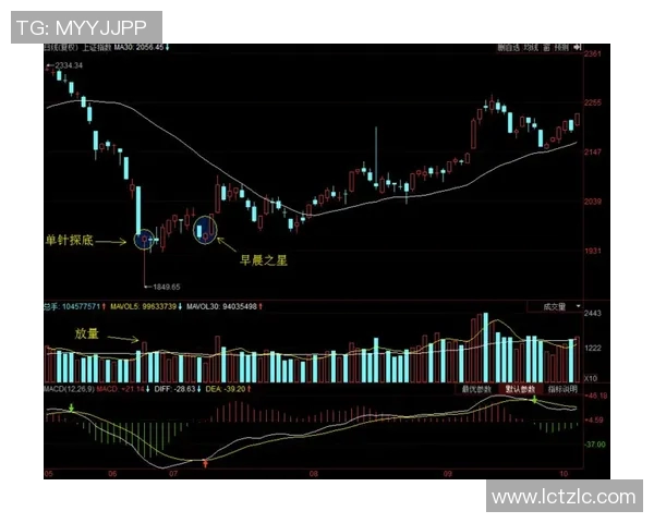 昂热与图卢兹对决前瞻分析双方战术特点及近期状态解析